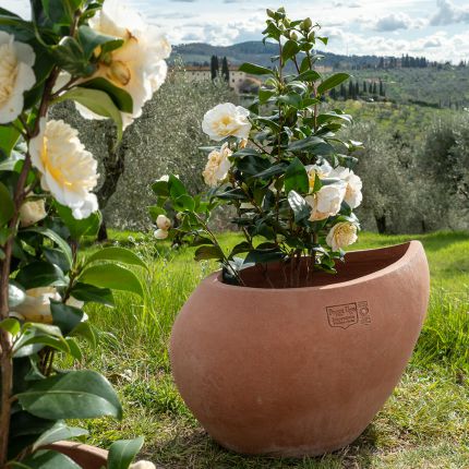 Terracotta Vase Edoardo