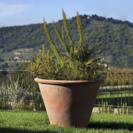 Terracotta Vase Paolo