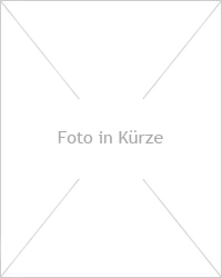 Edelstahl Quellsäule V4A S10